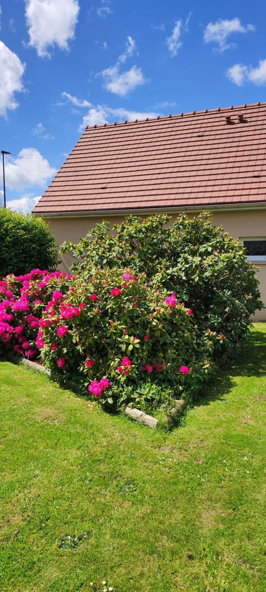Le Ptit Normand Entre Ville & Plages Loucelles Exterior foto